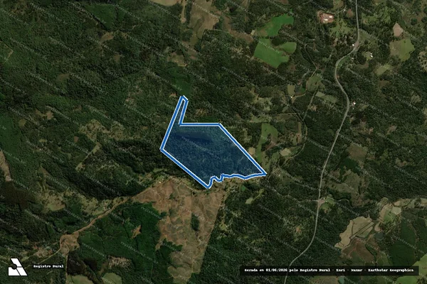 Imagem de satélite de FAZENDA OLINKEVISKI - Parte 3 em General Carneiro - PR