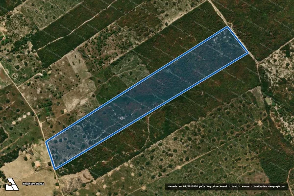 Imagem de satélite de FAZENDA TRÊS CORAÇÕES II - LOTE 25 em Catolândia - BA