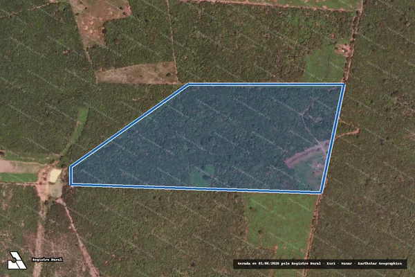 Imagem de satélite de PA FAZENDA  ALEGRE ? LOTE 60 - PARTE I em Flores de Goiás - GO