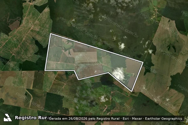 Imagem de satélite de Fazenda Lagoa do Zink - Parte em Parnarama - MA