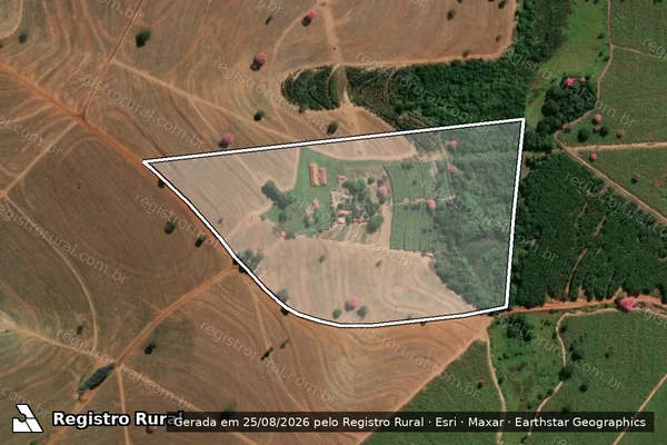 Imagem de satélite de Sitio São José - Sitio São Jose em Nhandeara - SP