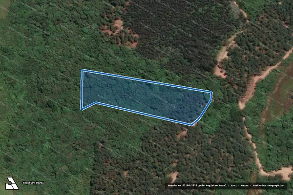 Imagem de satélite de LOTE RURAL - LOTE 03 em Campo Largo - PR