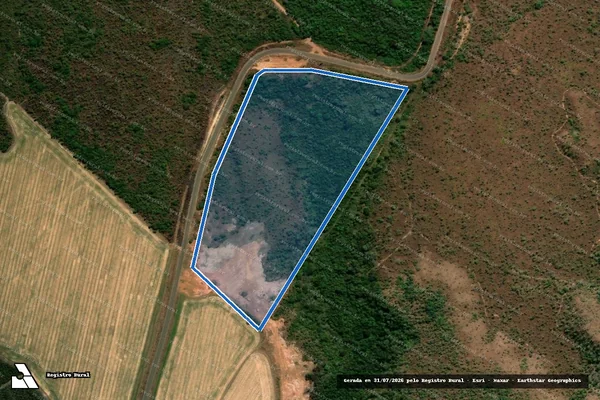 Imagem de satélite de Fazenda Santa Rita - Parcela 01 em Riachão - MA