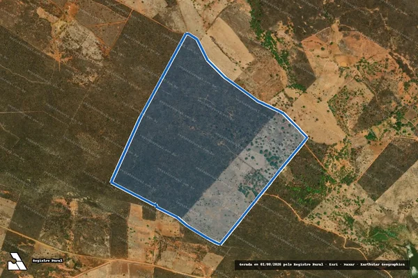 Imagem de satélite de SÍTIO PAU DE PILÃO - FAZENDA CABOCLO - Parte 1 em Afrânio - PE