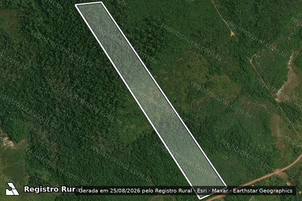 Imagem de satélite de PA_Juma_BR_230 - Lote 303 / Única