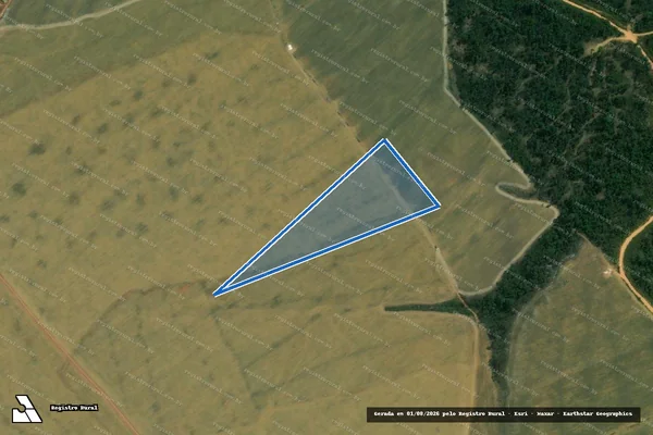 Imagem de satélite de FAZENDA MATA VERDE I - Parte 2 em Dom Eliseu - PA