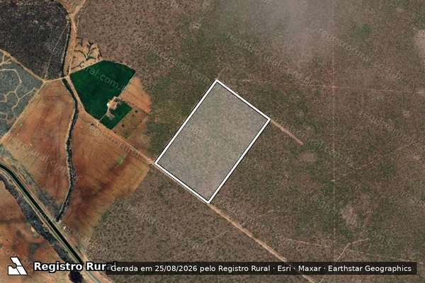 Imagem de satélite de FAZENDA BAIXIO DE IRECÊ/FAZENDA ANDRÉ - Lote 86 em Xique-Xique - BA