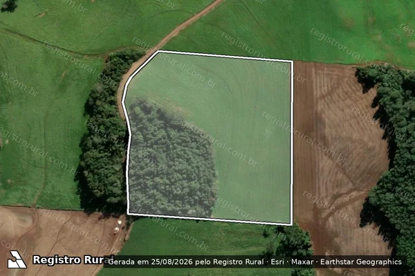 Imagem de satélite de Lote Rural n° 29 - PARCELA 02 em Ponte Preta - RS