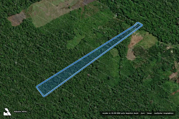 Imagem de satélite de Lote 217 - PA Riozinho  - Parte 1 em Carauari - AM