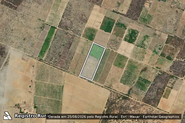Imagem de satélite de Fazenda Malhada da Areia IV - Gonçalo Correia dos Santos - Lote 12 em Sobradinho - BA