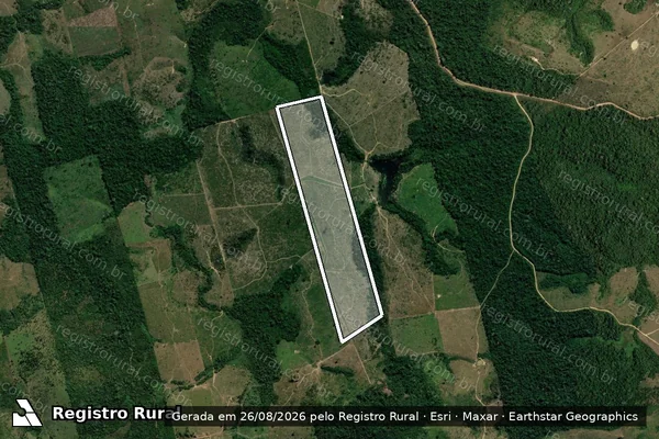 Imagem de satélite de FAZENDA GREYFA – GLEBA LEITE – GLEBA ARURI 2-T