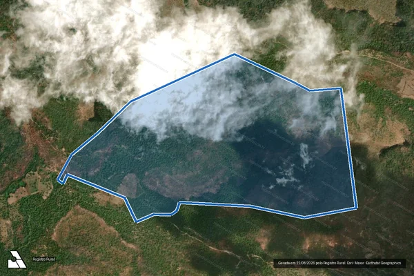 Imagem de satélite de GLEBA BREJINHO ? DATA ESPIRITO SANTO - RAIMUNDO NONATO CARDOSO DA SILVA em Palmeirais - PI