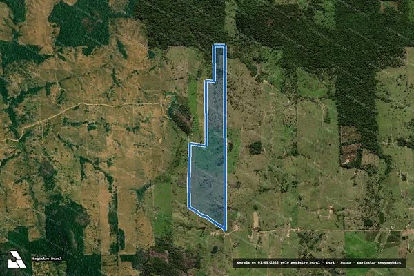 Imagem de satélite de Lote 02, Gleba 36/A, PAD Burareiro - Parte 1 em Campo Novo de Rondônia - RO