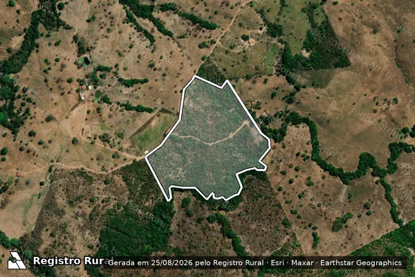 Imagem de satélite de FAZENDA ÁGUA LIMPA E SÃO JOSÉ DO FERREIRINHO - GLEBA 02 em Faina - GO