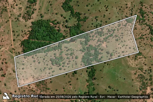 Imagem de satélite de FAZENDA AREIAS e CÓRREGO DO PALMITO - PARCELA 01 em Córrego do Ouro - GO