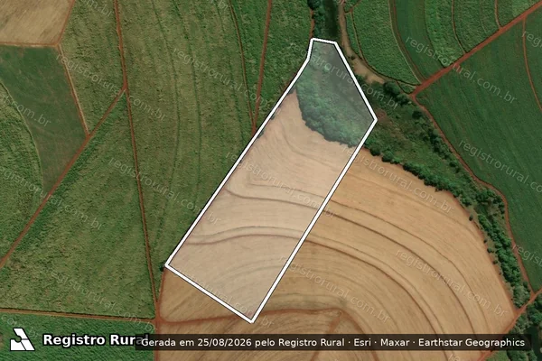 Imagem de satélite de Fazenda Paineira - Parte 1 em São Simão - SP
