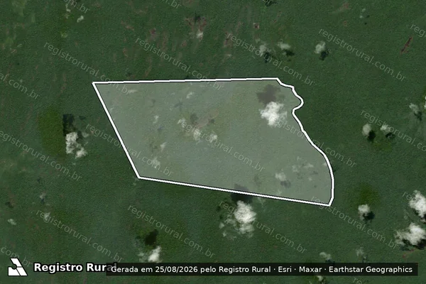 Imagem de satélite de FAZENDA SANTA RITA / Parte 1