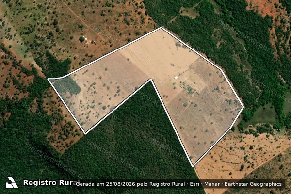 Imagem de satélite de PROJETO DE ASSENTAMENTO PADRE NILO SCUR - Lote 15 em Iporá - GO