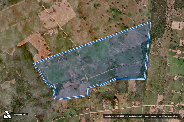 Imagem de satélite de FAZENDA ACARY LAVANDEIRAS - FAZENDA ACARY LAVANDEIRA em Pintópolis - MG