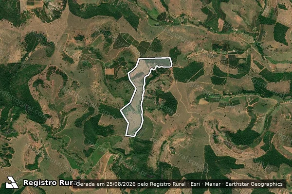 Imagem de satélite de SÍTIO SÃO RICARDO - GLEBA 02 em Santa Rita do Itueto - MG
