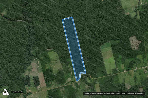 Imagem de satélite de Sitio Santo Expedito - Parte 1 em Mojuí dos Campos - PA