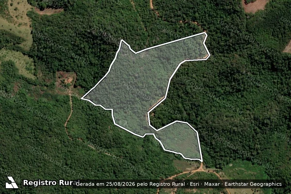 Imagem de satélite de Fazenda Candonga - Gleba C em Dom Joaquim - MG