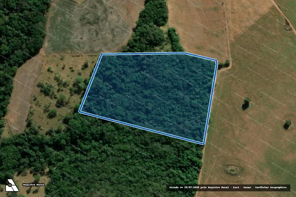 Imagem de satélite de FAZENDA JS, situada nas Fazendas BAÚ e BAUZINHO - Parte 1 em Orizona - GO