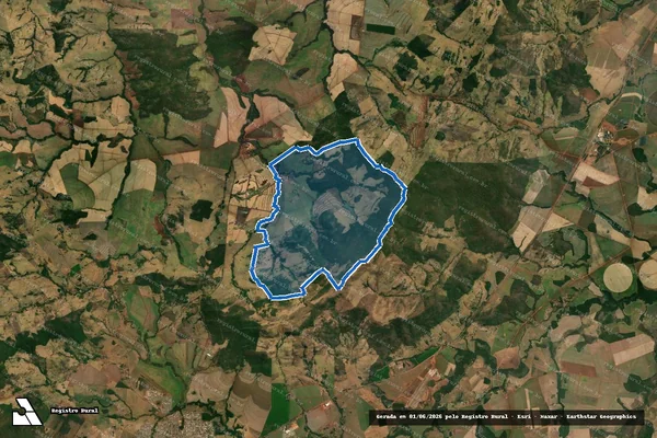 Imagem de satélite de FAZENDA SÃO CARLOS - PERÍMETRO em Goianésia - GO