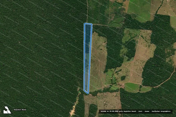 Imagem de satélite de Lote 13 - Setor 01 - Fazenda Três Paineiras - Lote 13 em Manicoré - AM