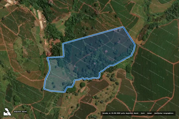 Imagem de satélite de Sítio Córrego das Pedras - ARQ241019 em Capetinga - MG