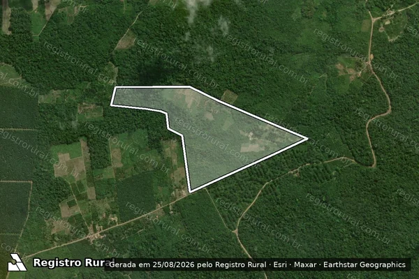 Imagem de satélite de SITIO SÃO RAIMUNDO - Parte 1 em Tomé-Açu - PA
