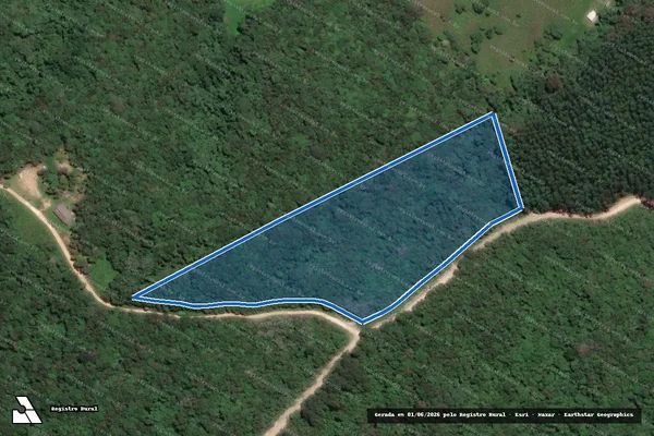 Imagem de satélite de LOTE RURAL - LOTE 02 em Campo Largo - PR