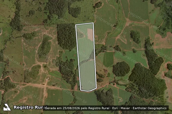Imagem de satélite de PROJETO DE ASSENTAMENTO CACHIMBO II ? LOTE N° 687 - Parte 1 em Peixoto de Azevedo - MT