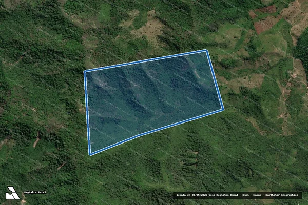 Imagem de satélite de FAZENDA JUSTINO - Parcela 1 em Alto Alegre do Pindaré - MA