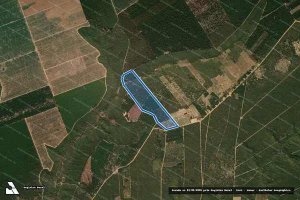 Imagem de satélite de Traçadal, da Fazenda Cigano - Parte 19 em São João do Paraíso - MG