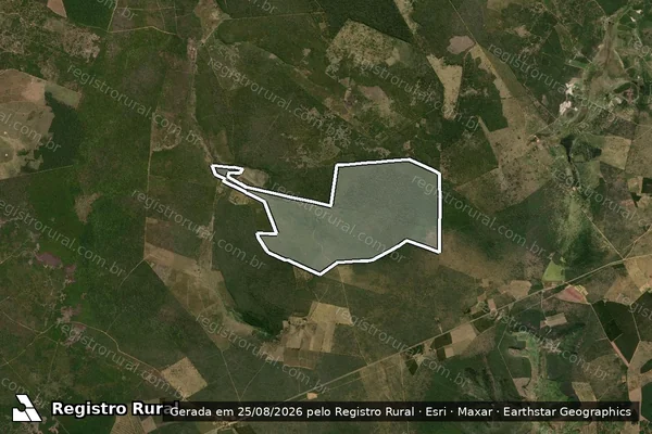 Imagem de satélite de Fazenda Riacho D  Antas - Parte 1 em Encruzilhada - BA