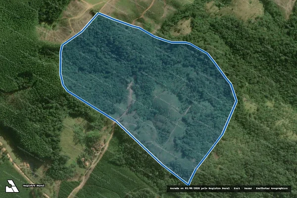 Imagem de satélite de SITIO FERREIRA SOUTO - SITIO FERREIRA SOUTO em Ribeirão Grande - SP