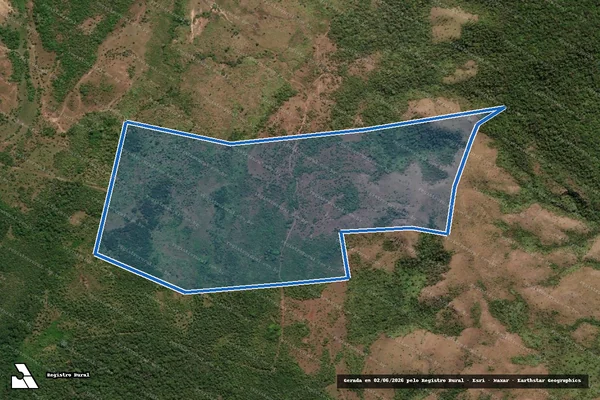 Imagem de satélite de Fazenda União V - Parte 1 em Conceição do Araguaia - PA