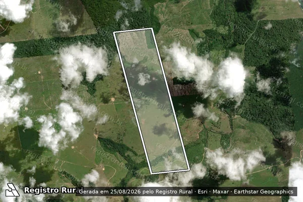 Imagem de satélite de FAZENDA PLANALTO - FAZENDA MONTE ALEGRE em Brasil Novo - PA
