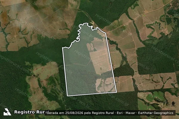 Imagem de satélite de FAZENDA RIO DOCE - FAZENDA RIO DOCE em Juína - MT