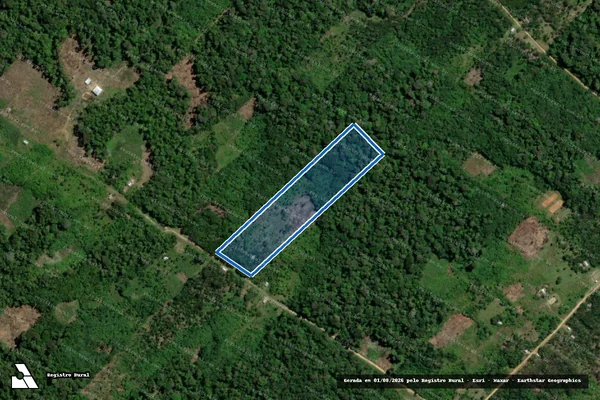 Imagem de satélite de Lote 165 - PA Riozinho - Parte 1 em Carauari - AM