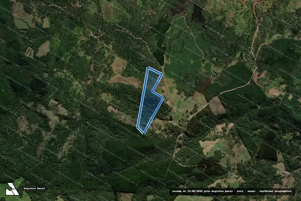 Imagem de satélite de Imóvel Rural Quinhão nº 3-A, da Divisão Judicial da Gleba II, do Quinhão VIII, da Fazenda Passo Fundo - Matrícula 451 em Coronel Domingos Soares - PR