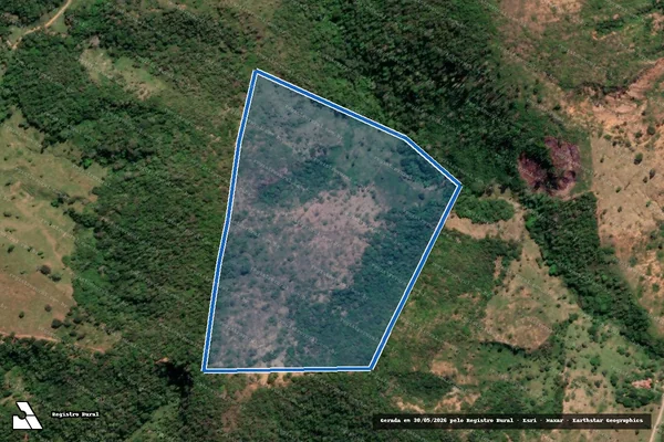 Imagem de satélite de FAZENDA RIACHO  NOVO  - GLEBA 7 em Almenara - MG