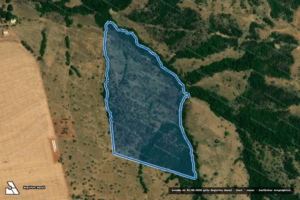 Imagem de satélite de Fazenda Ouvidor dos Cláudios ? Denominada Vovô Miro - Parte 1 em Ouvidor - GO