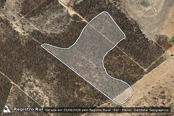 Imagem de satélite de FAZENDA BEIRA LAGO Parte 03 - Parte 3 BEIRA LAGO em Remanso - BA