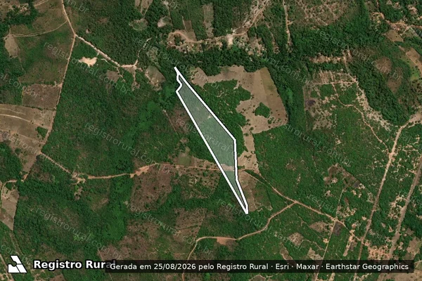 Imagem de satélite de FAZENDA VENEZA 005 - GLEBA - A em Carolina - MA