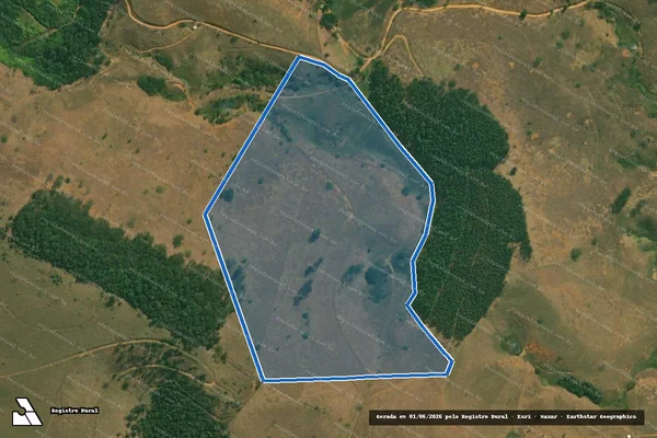 Imagem de satélite de FAZENDA BOA VISTA - BOA VISTA em Cataguases - MG