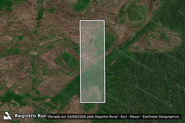 Imagem de satélite de Fazenda Brunetta Compensação - Única em Colniza - MT