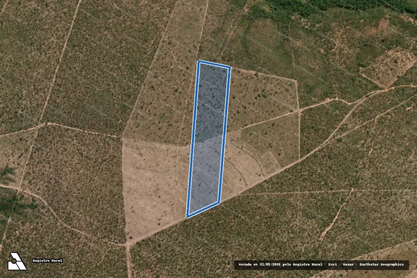 Imagem de satélite de BREJINHO - Parte 1 em Palmeira do Piauí - PI