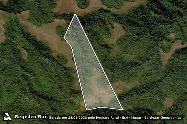 Imagem de satélite de FAZENDA CAMPO DOS BREJOS - Gleba 3 em Itamonte - MG